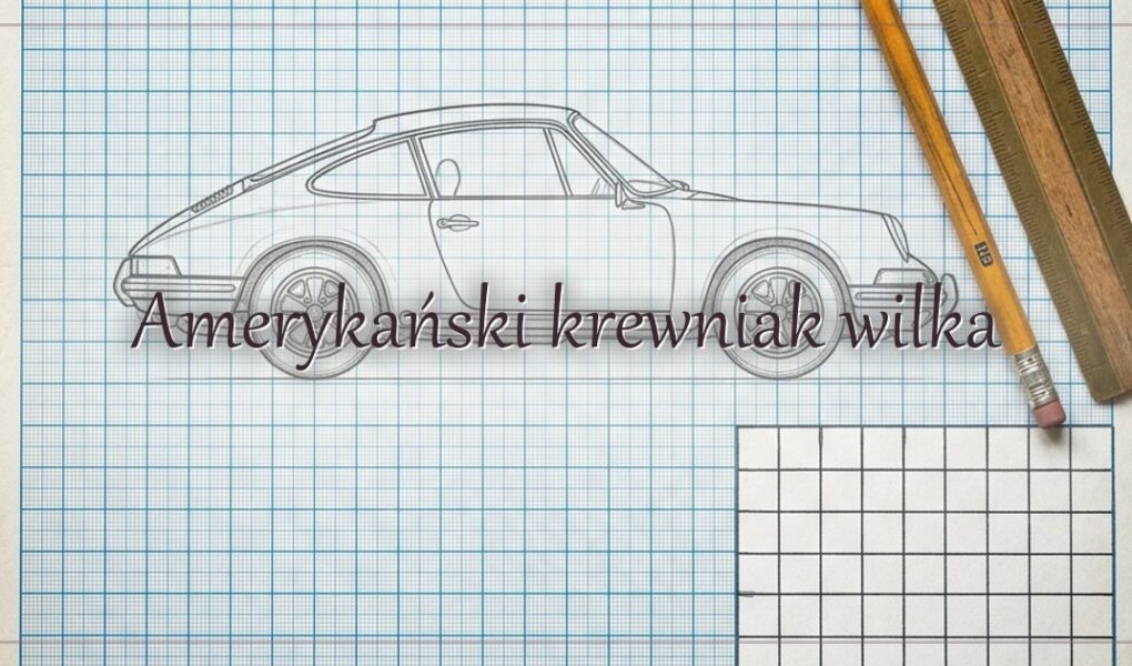 Amerykański krewniak wilka