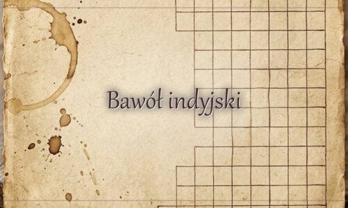Bawół indyjski – hasło do krzyżówki