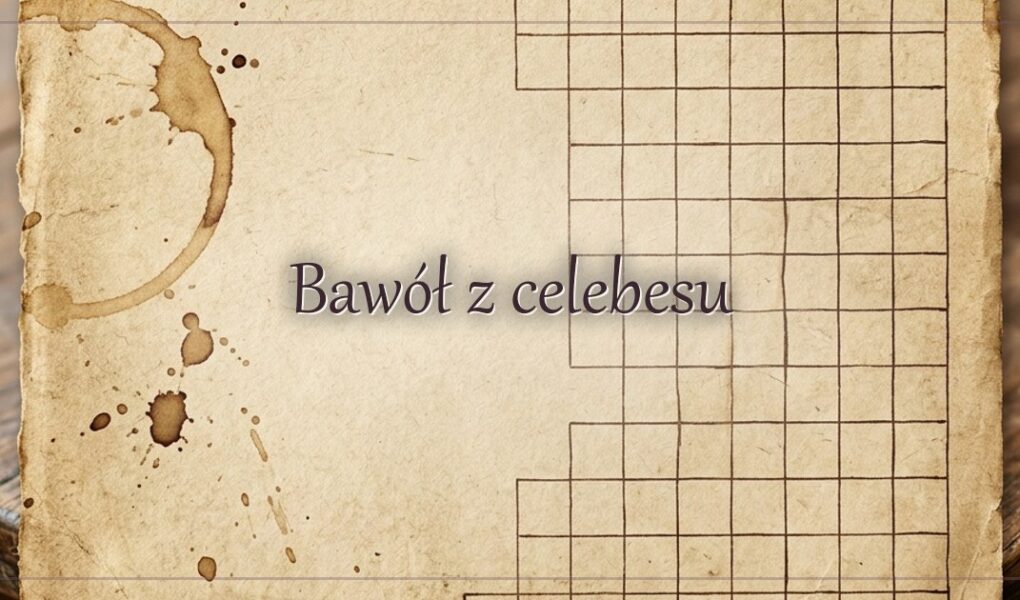 Bawół z celebesu