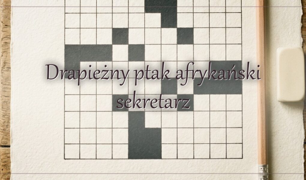 Drapieżny ptak afrykański sekretarz