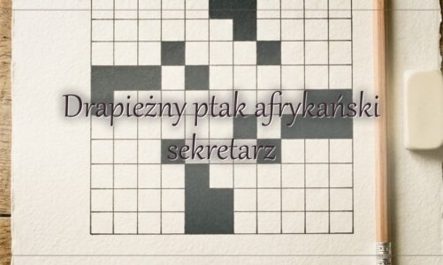 Drapieżny ptak afrykański sekretarz – hasło do krzyżówki