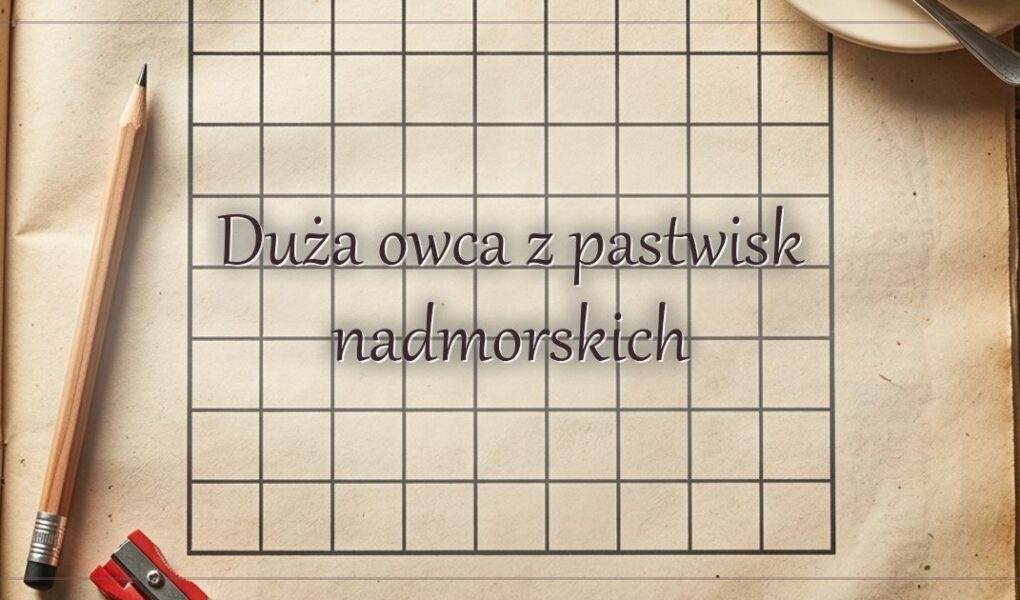 Duża owca z pastwisk nadmorskich – hasło do krzyżówki