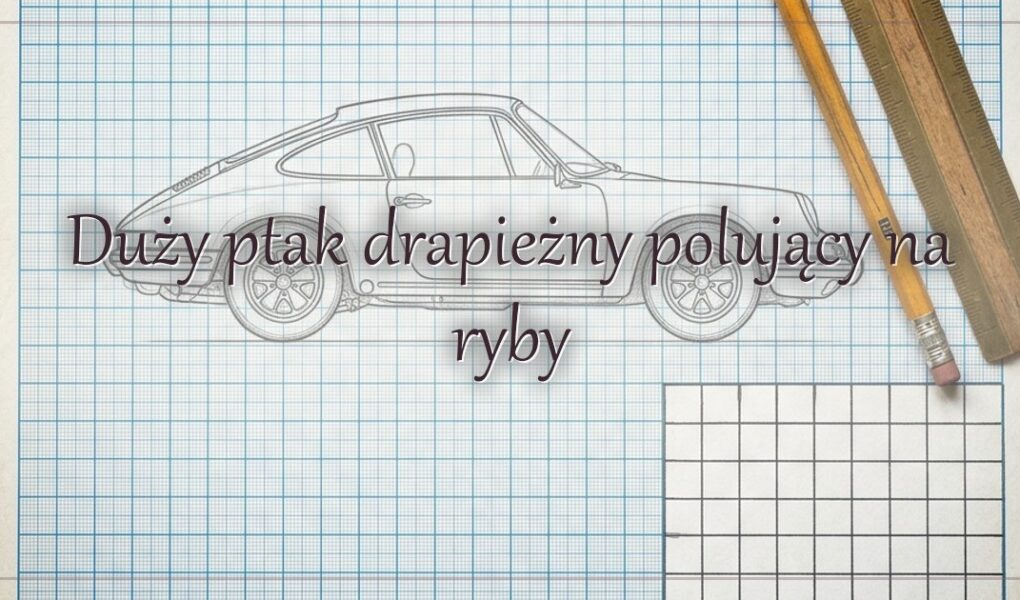 Duży ptak drapieżny polujący na ryby