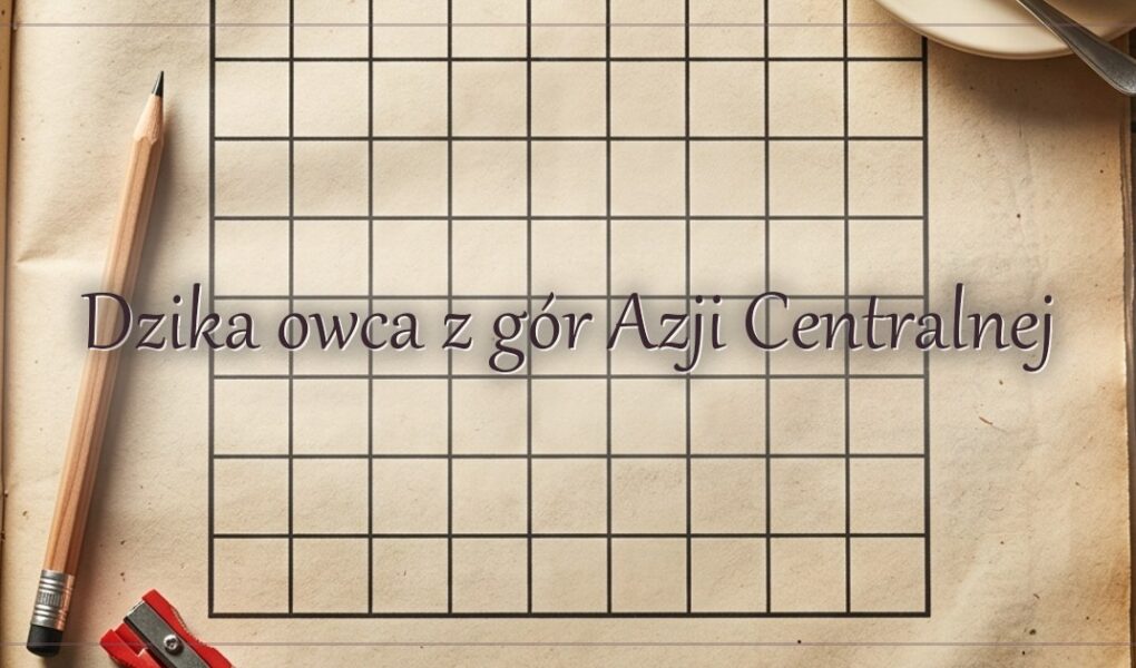 Dzika owca z gór Azji Centralnej