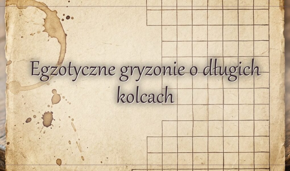 Egzotyczne gryzonie o długich kolcach