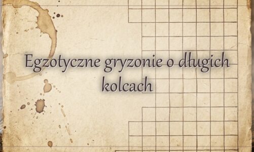 Egzotyczne gryzonie o długich kolcach