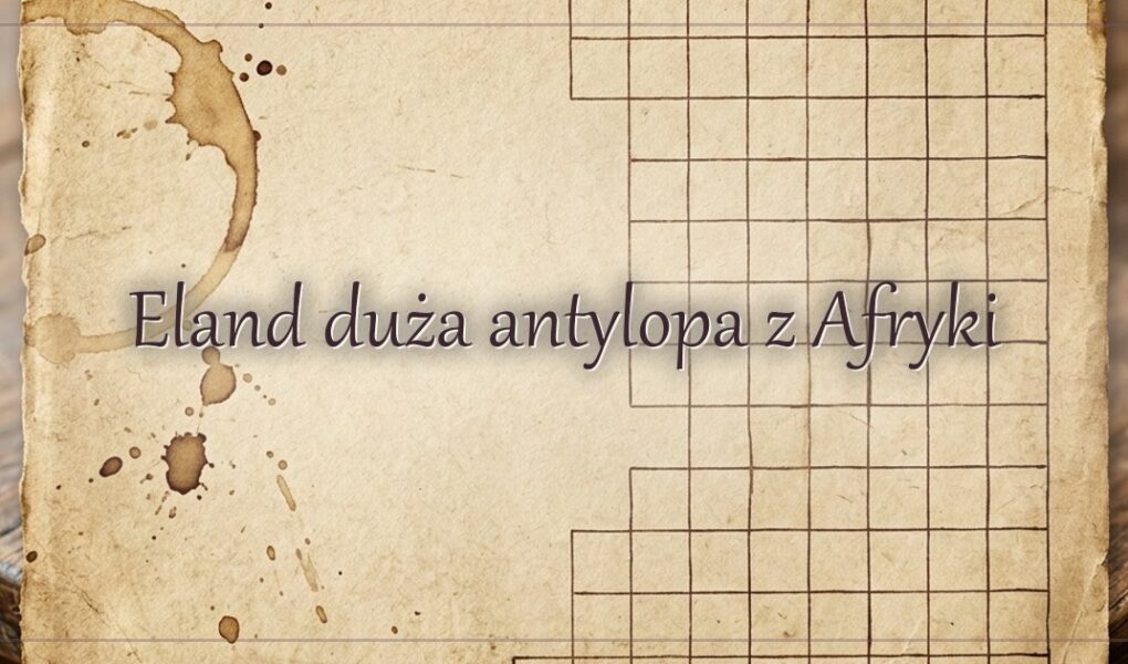 Eland duża antylopa z Afryki