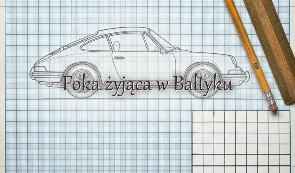 Foka żyjąca w Bałtyku