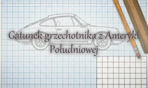 Gatunek grzechotnika z Ameryki Południowej – hasło do krzyżówki