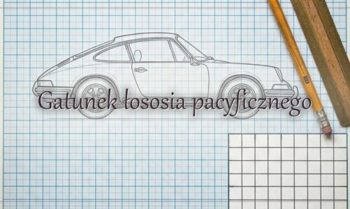 Gatunek łososia pacyficznego – hasło do krzyżówki