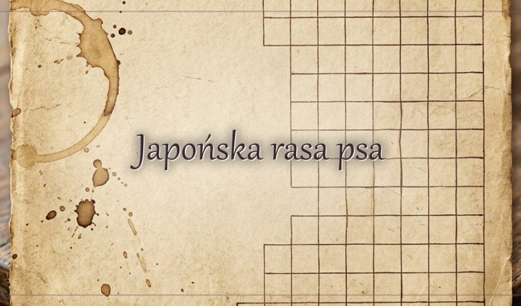 Japońska rasa psa