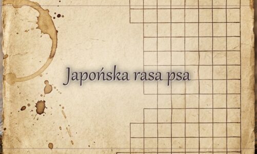 Japońska rasa psa