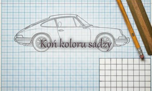 Koń koloru sadzy