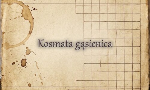 Kosmata gąsienica