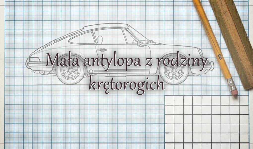 Mała antylopa z rodziny krętorogich