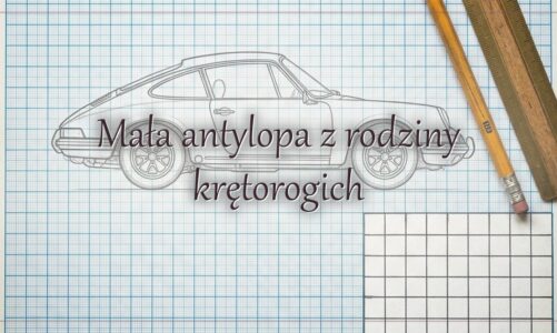 Mała antylopa z rodziny krętorogich – hasło do krzyżówki
