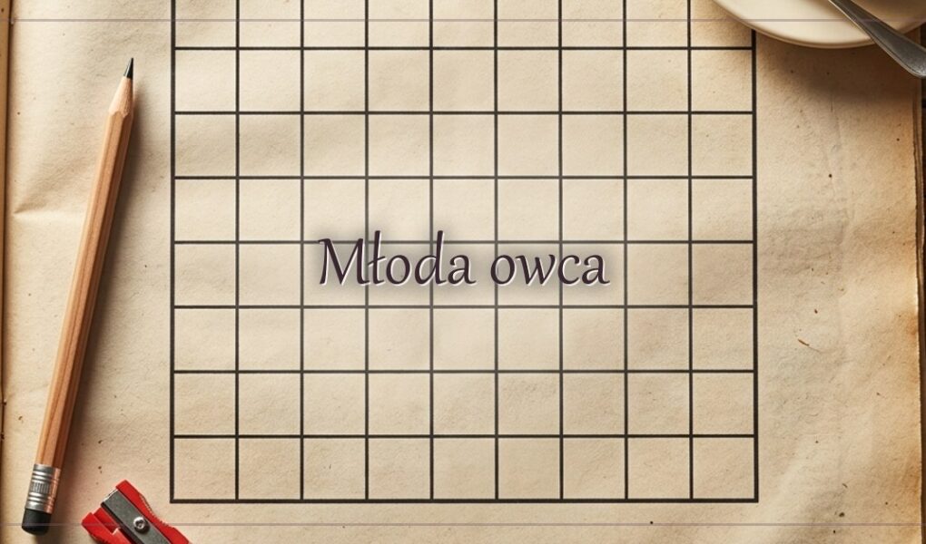 Młoda owca