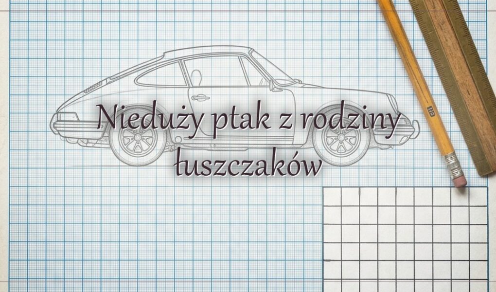 Nieduży ptak z rodziny łuszczaków