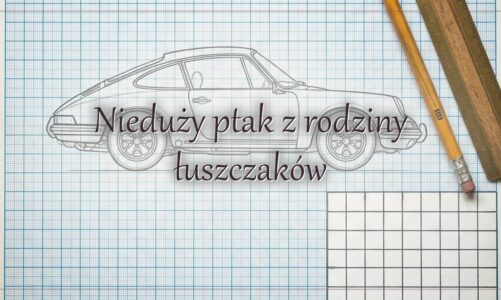 Nieduży ptak z rodziny łuszczaków