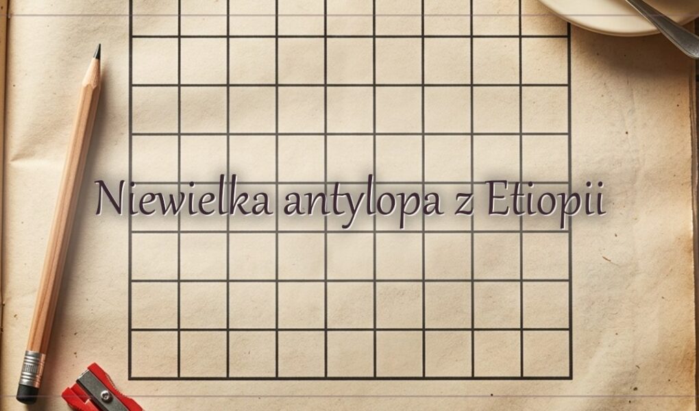 Niewielka antylopa z Etiopii