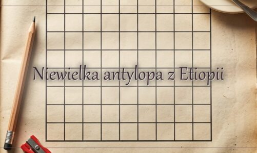 Niewielka antylopa z Etiopii