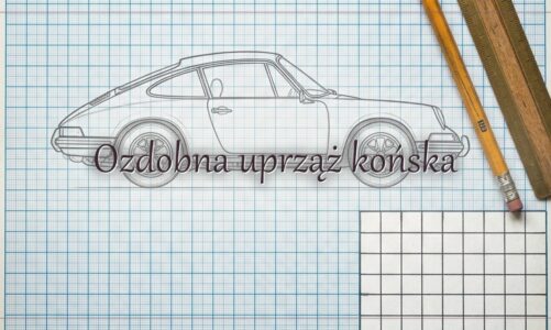 Ozdobna uprząż końska – hasło do krzyżówki