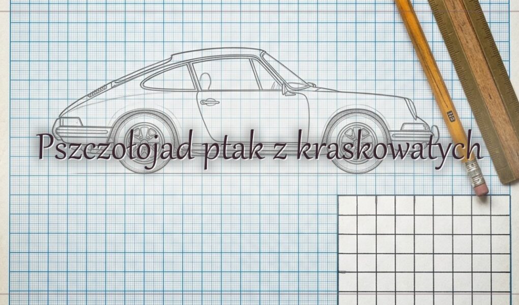 Pszczołojad ptak z kraskowatych