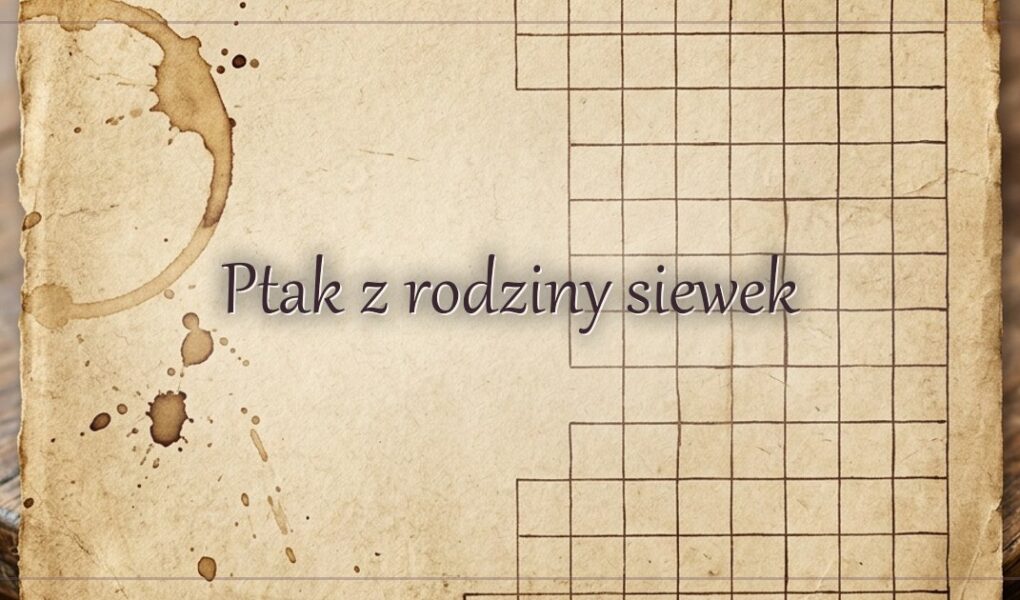 Ptak z rodziny siewek