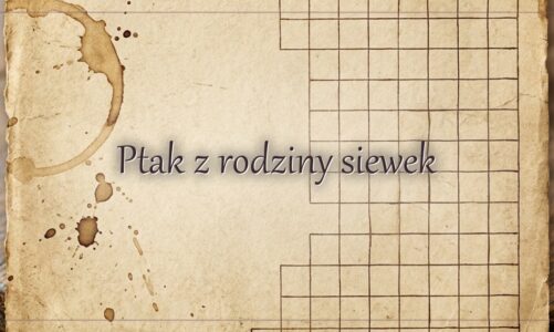 Ptak z rodziny siewek