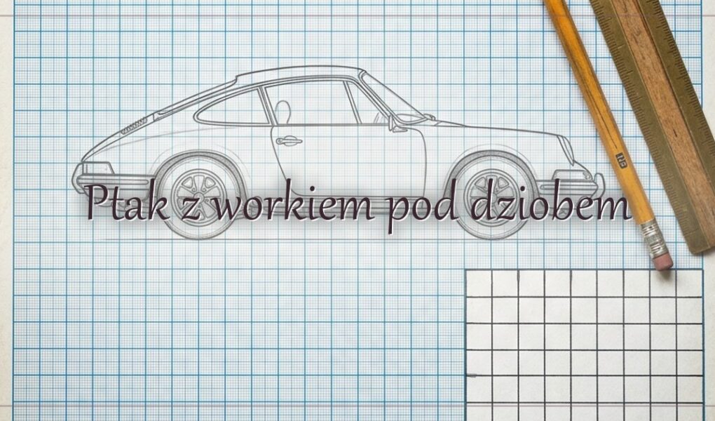Ptak z workiem pod dziobem