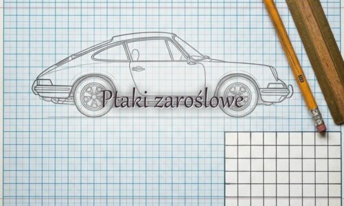 Ptaki zaroślowe – hasło do krzyżówki