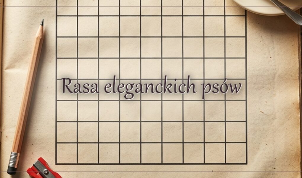 Rasa eleganckich psów