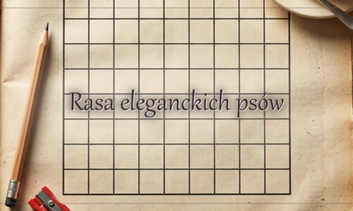 Rasa eleganckich psów