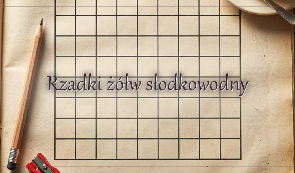 Rzadki żółw słodkowodny
