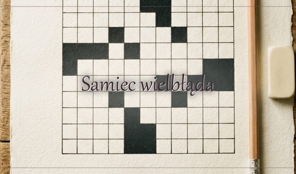 Samiec wielbłąda – hasło do krzyżówki
