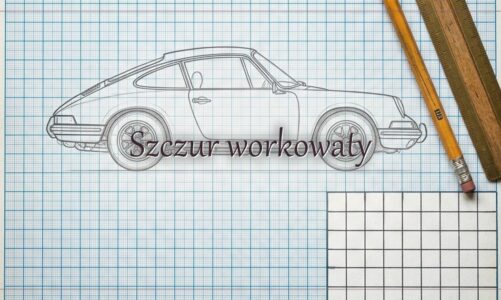 Szczur workowaty