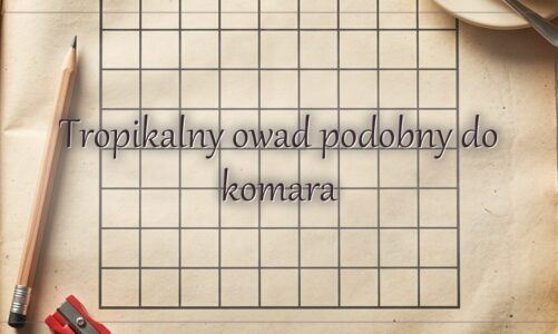 Tropikalny owad podobny do komara
