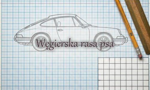 Węgierska rasa psa