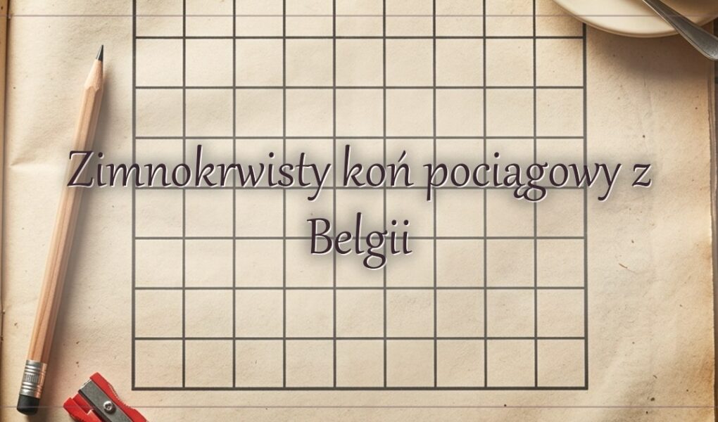 Zimnokrwisty koń pociągowy z Belgii