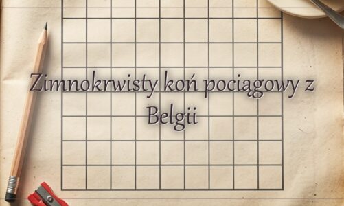 Zimnokrwisty koń pociągowy z Belgii
